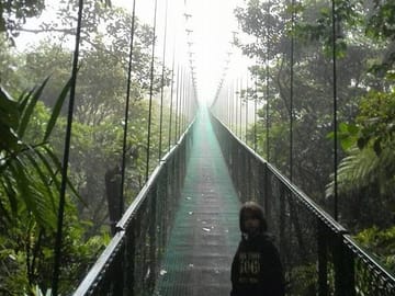 Cloud Forest Hanging Bridges tour with Johnny loves nature Eco-tour