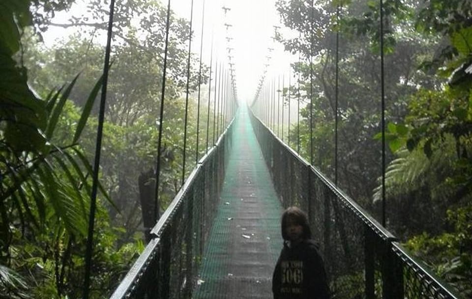 Guided Hanging Bridges Walk in Monteverde Cloud Forest
