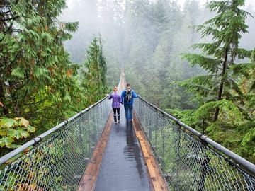 Vancouver City Tour with Stanley Park and Grouse Mountain