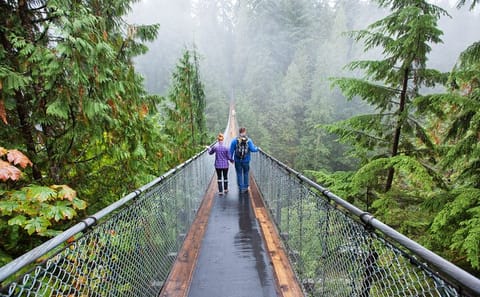 Vancouver City Tour with Stanley Park and Grouse Mountain