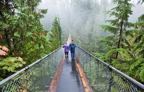 Vancouver City Tour With Stanley, Grouse Mountain & Capillano Suspension Private