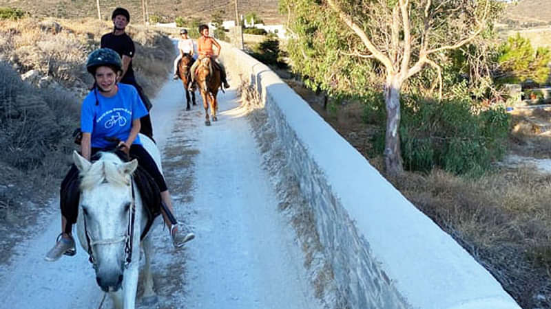 The horses in Paros