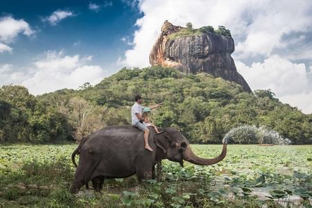 Explore Sigiriya Rock Fortress: All-Inclusive Tour from Negombo