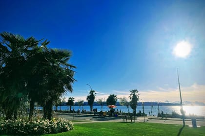 Vancouver City Private Tour with Taste of India