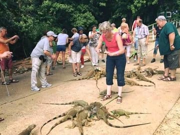 Wildlife Encounters and Snorkeling in Roatan, Honduras
