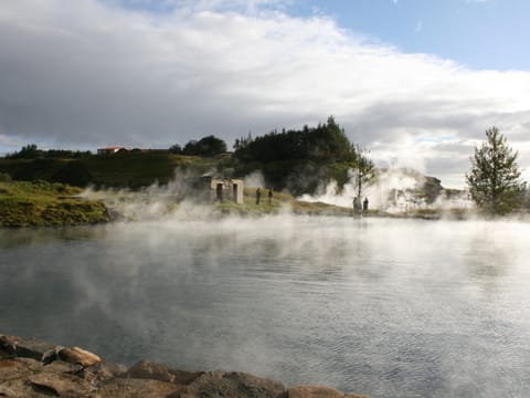 Golden Circle, Secret Lagoon & Northern Lights, photo 5