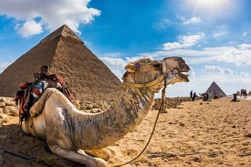 Layover Guided Tour To Giza Pyramids