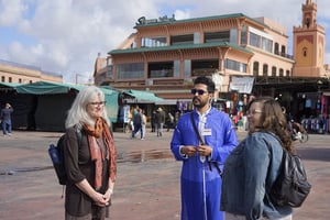 Marrakech Bahia Palace, Medina & Souks Half-Day Walking Tour