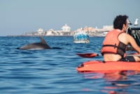 Kayaking, Snorkeling & Swimming  4