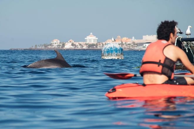 Kayaking, Snorkeling & Swimming  photo 4