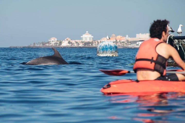 Kayaking, Snorkeling & Swimming  4
