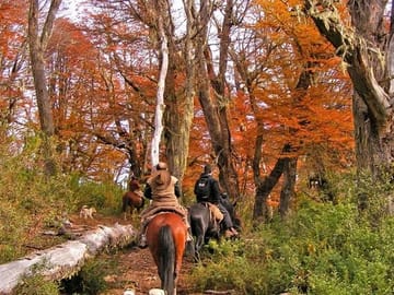 Horseback Riding