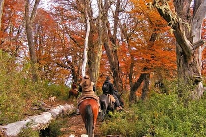 Horseback Riding Tour: Lanin National Park and Mapuche Culture