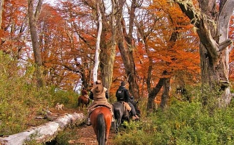 Horseback Riding in Lanin National Park, San Martín de los Andes