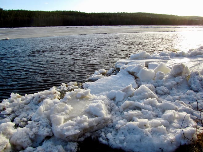 Arctic Nature Awakens (3 Hours) photo 2