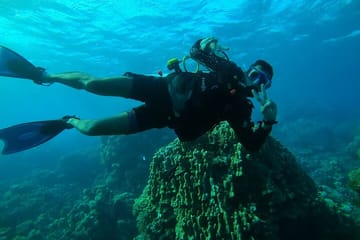 Yacht Tour and Dolphin Swimming Experience in Hurghada