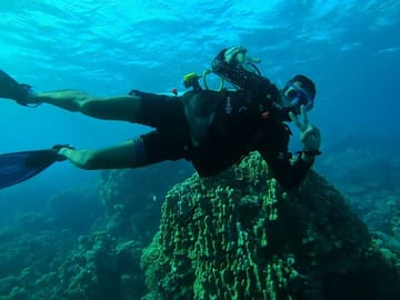 Yacht Tour and Dolphin Swimming Experience in Hurghada