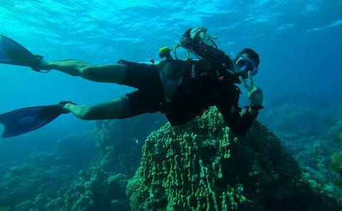 Yacht Tour and Dolphin Swimming Experience in Hurghada