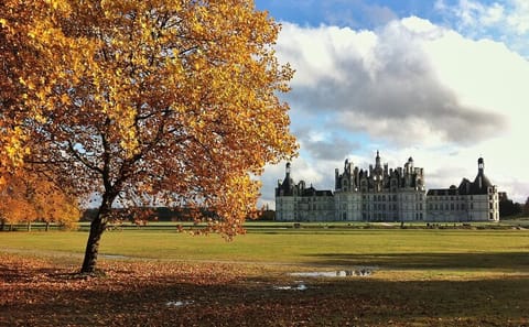 Private Guided Walking Tour of Château de Chambord