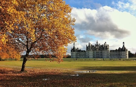 Private Guided Walking Tour of Château de Chambord