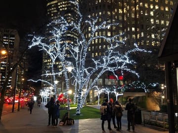 Vancouver Christmas light