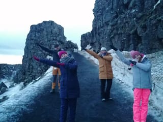 From Geysir to Vik | Private Tour, photo 37