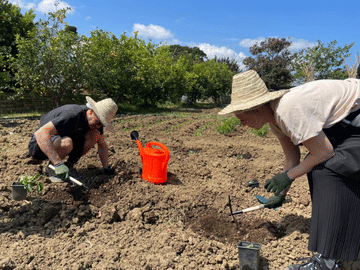 Plant It & Taste It : Garden Workshop & Traditional Moroccan Tea