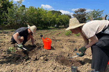 Plant It & Taste It : Garden Workshop & Traditional Moroccan Tea