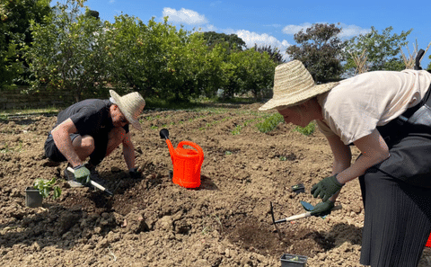 Plant It & Taste It : Garden Workshop & Traditional Moroccan Tea