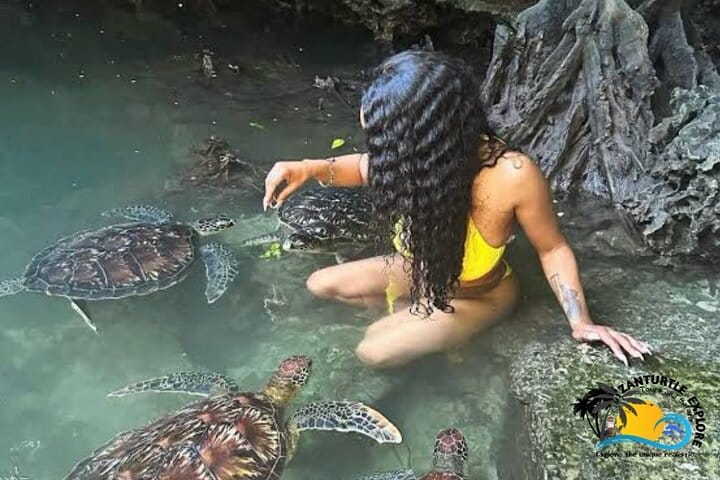 Mnemba Island Dolphins Watching and Snorkeling