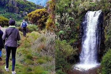 4-Day Safari Adventure in Ol Pejeta and Aberdare, Kenya