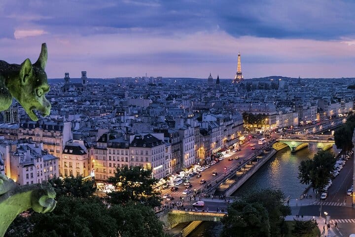4 hours Paris VIP Private Tour with exclusive guide and driver both 10