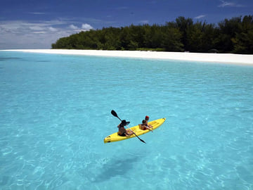 Mangrove channel kayak tour