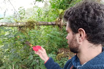 Private Full-Day Mindo Cloud Forest and Chocolate Tour