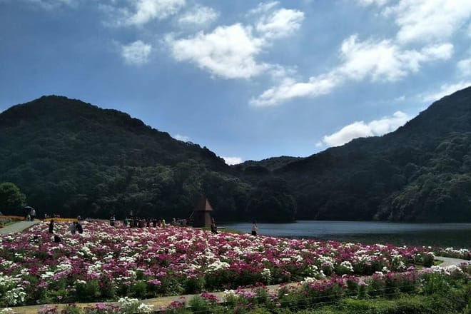 Private Day Tour to Shimen National Park from Guangzhou + Seasonal Fruit Pickup 8