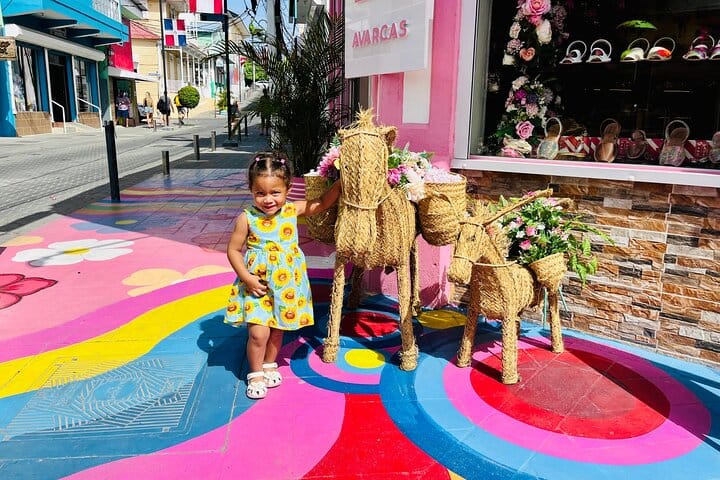 Puerto Plata City Private Tour