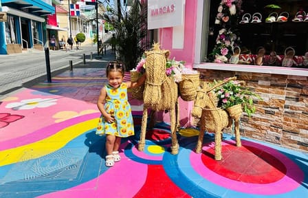 Puerto Plata City Private Tour