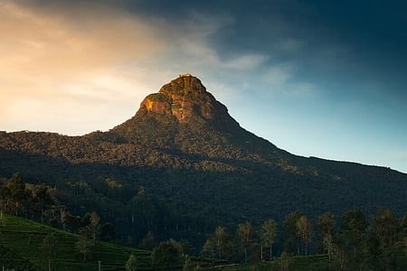 Scenic Transfer from Adams Peak to Colombo Airport