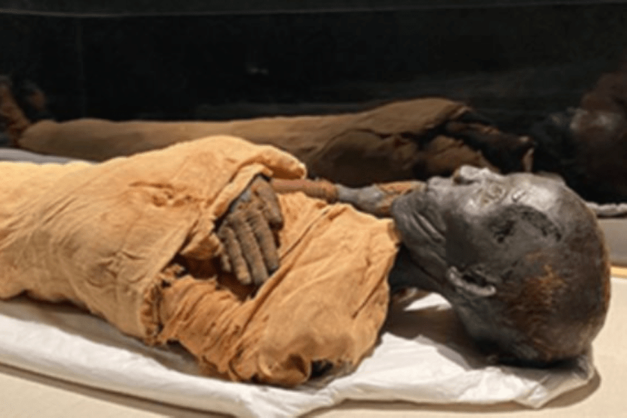 Cairo Half-Day Tour: The National Museum of Egyptian Civilization