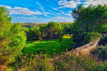 Chadwick Lakes, Victoria Lines & Bingemma Valley Walking Tour in Malta