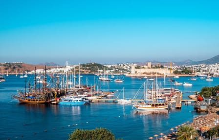 Bodrum City Cultural Tour: Explore Landmarks and History
