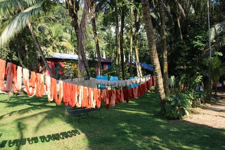 Explore Galle’s Hidden Gems & Dine With Locals