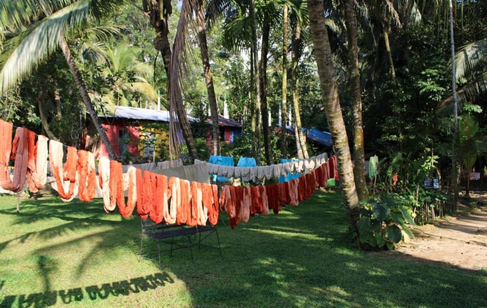 Explore Galle’s Hidden Gems & Dine With Locals