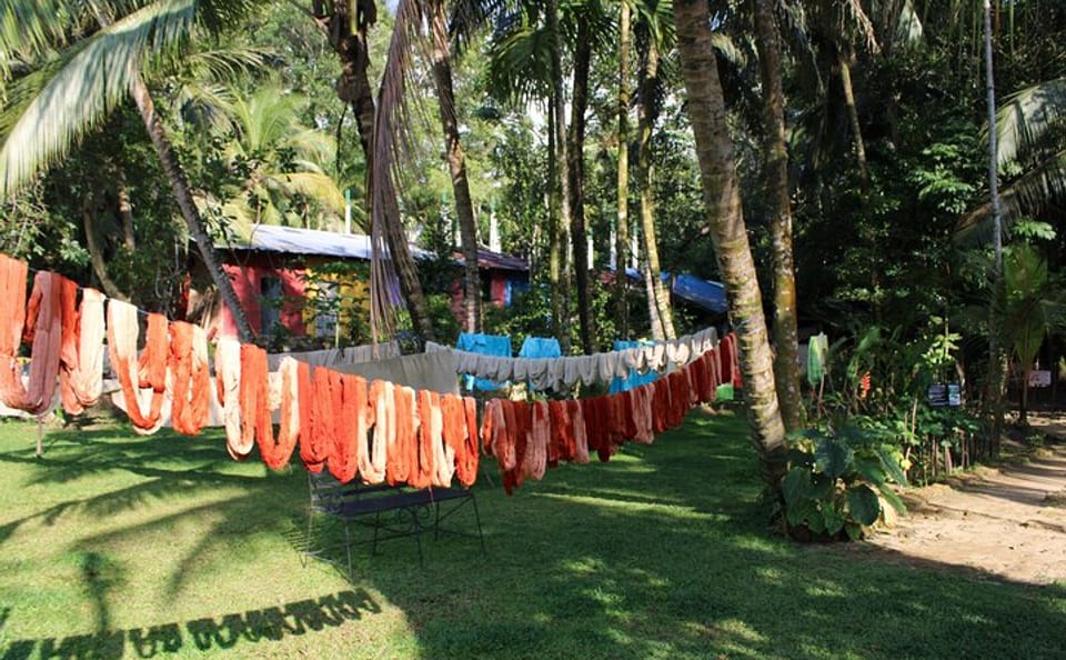 Discover Galle's Hidden Gems and Local Cuisine Tour