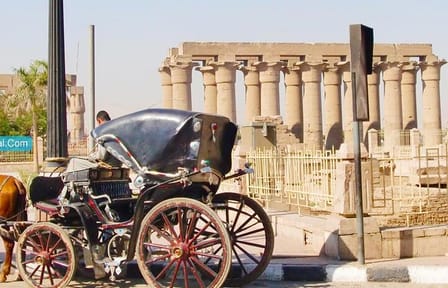 Private Horse Carriage Tour of Luxor's Historic Streets