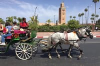 Horse Carriage Ride in Marrakech 4