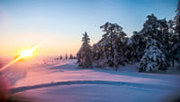 Further to Tundra - Saariselkä 5