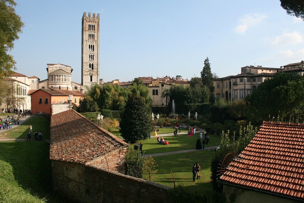 View of Lucca's city centre with one of its towers
