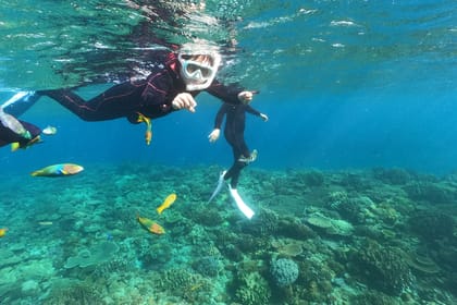 Okinawa: Boat Snorkeling 1 Round at Minna, Sesoko or Motobu