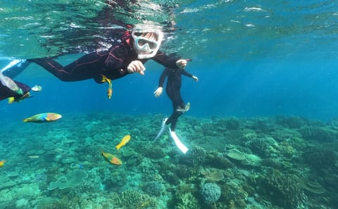 Snorkeling Tour in Motobu: Explore Okinawa's Underwater Beauty